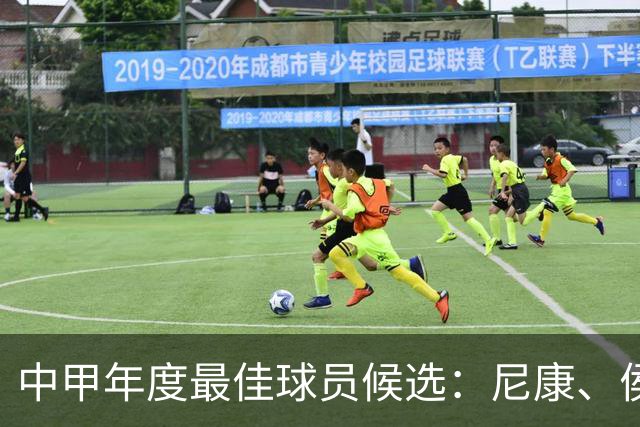 中甲年度最佳球员候选：尼康、侯煜、卡卢卢、谭龙等人入选