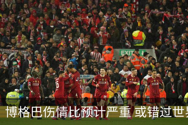博格巴伤情比预计严重 或错过世界杯到明年才复出