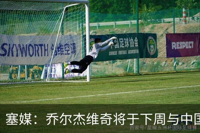 塞媒：乔尔杰维奇将于下周与中国篮协签约