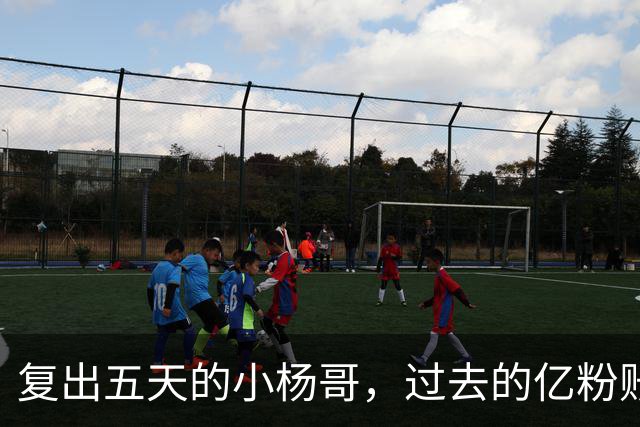 复出五天的小杨哥，过去的亿粉账号没了，首场直播只有短短几分钟