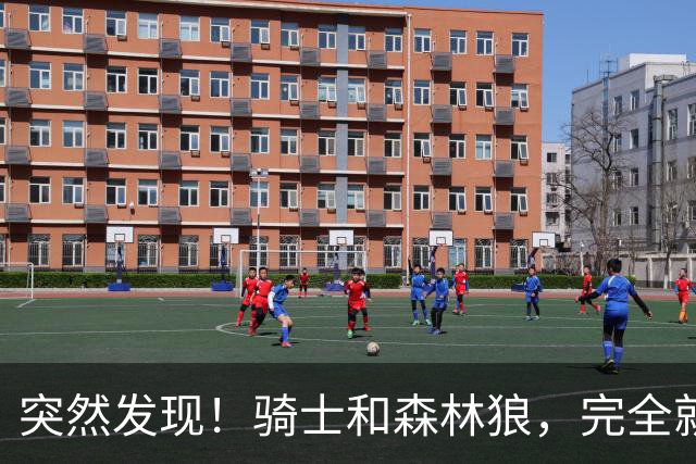 突然发现！骑士和森林狼，完全就是两个极端