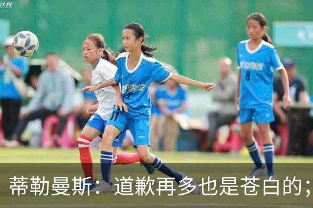 蒂勒曼斯：道歉再多也是苍白的；我们几乎所有环节都脱节了
