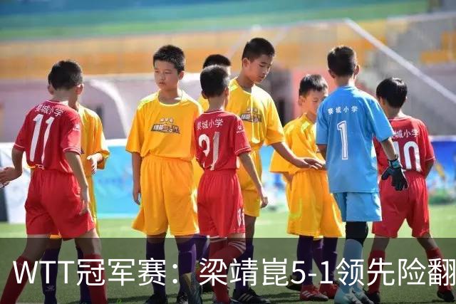 WTT冠军赛：梁靖崑5-1领先险翻车！首局赢2分，温瑞博11-13惜败！
